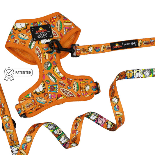 Dog Two Piece Bundle -  Garfield™