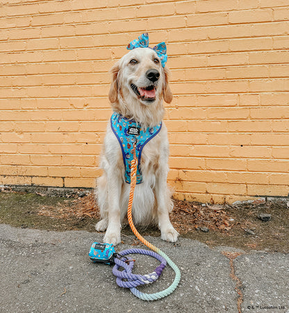 Dog Adjustable Harness - STAR WARS™ The Mandalorian™