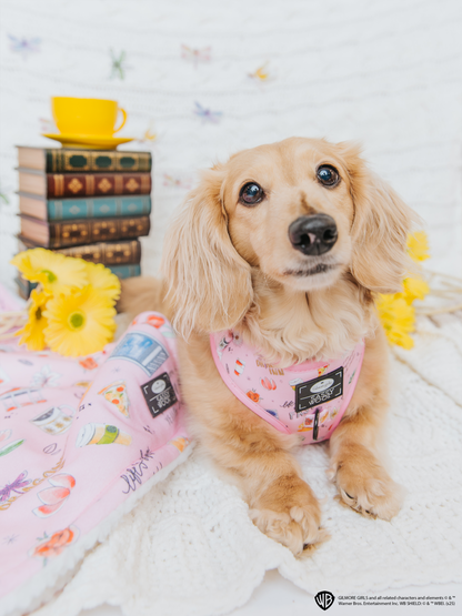 Dog Four Piece Bundle - Gilmore Girls™