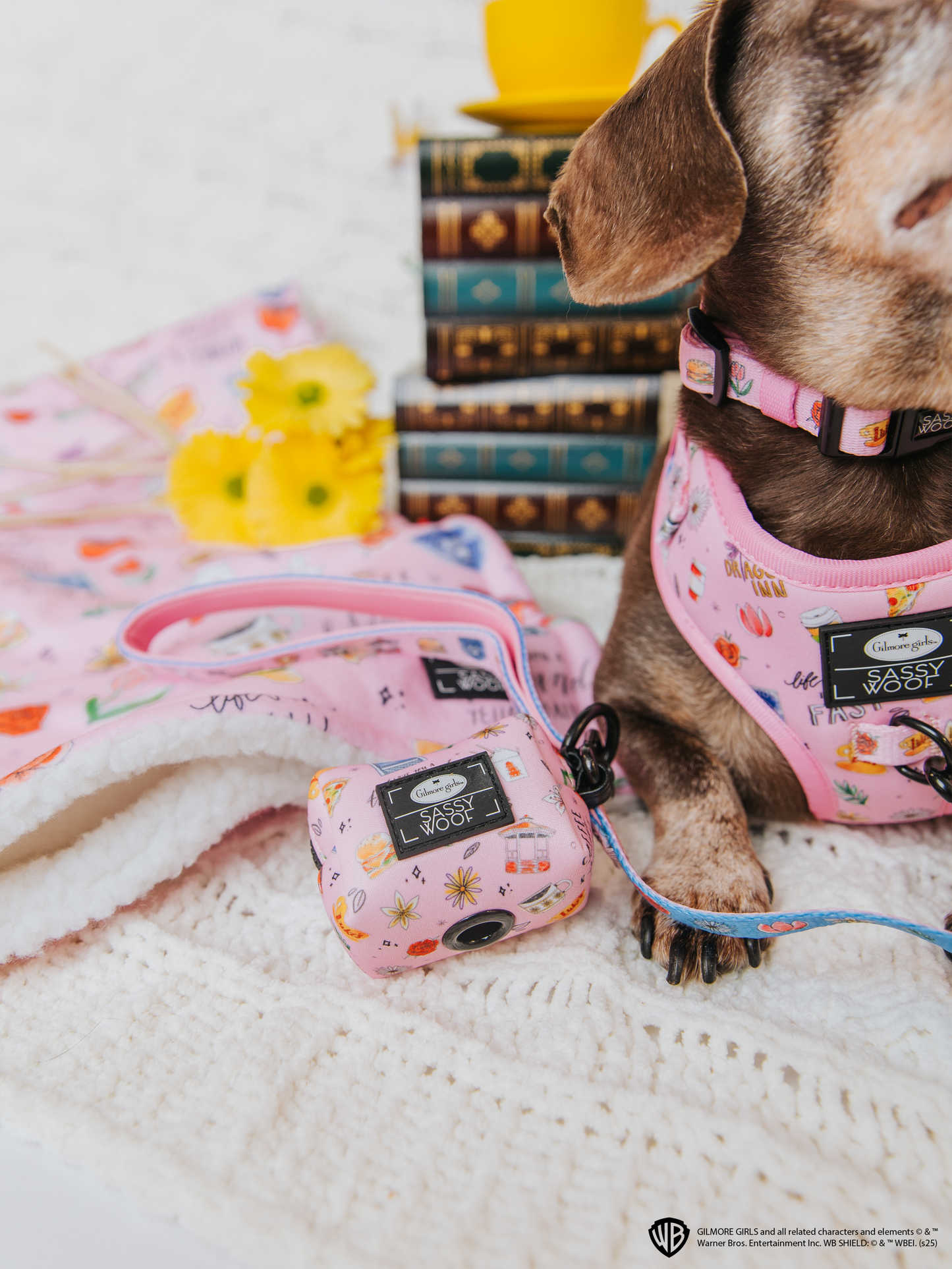 Pet Blanket - Gilmore Girls™