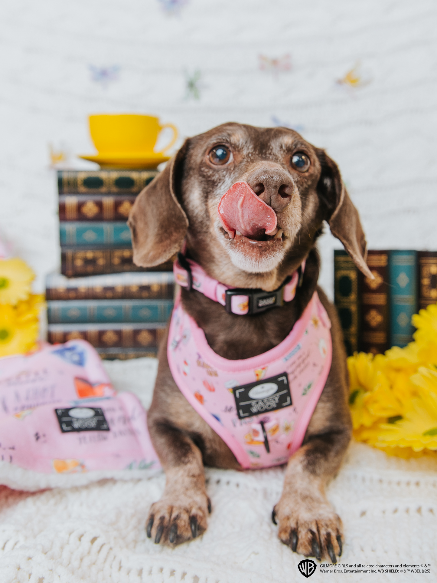 Dog Two Piece Bundle - Gilmore Girls™