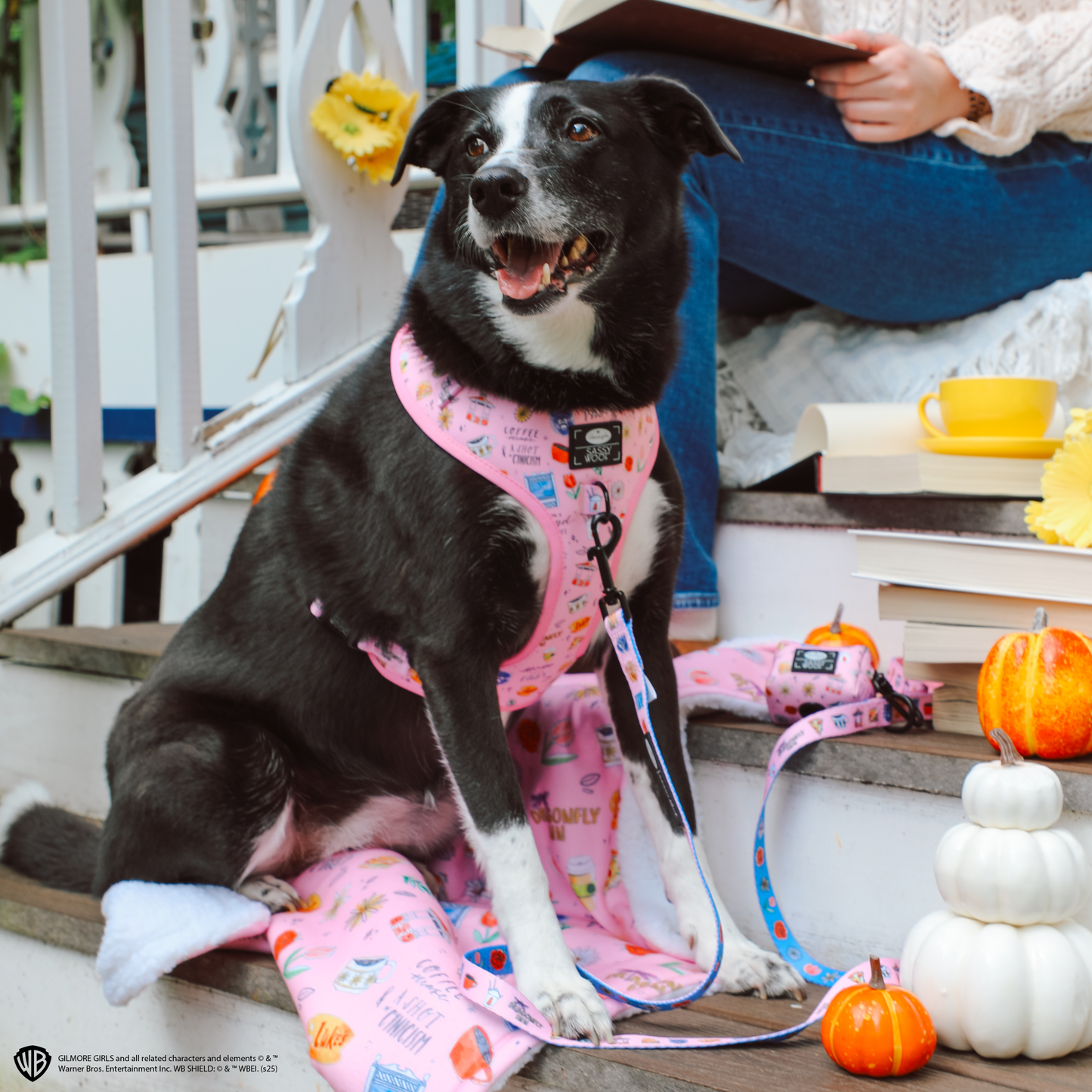 Dog Four Piece Bundle - Gilmore Girls™