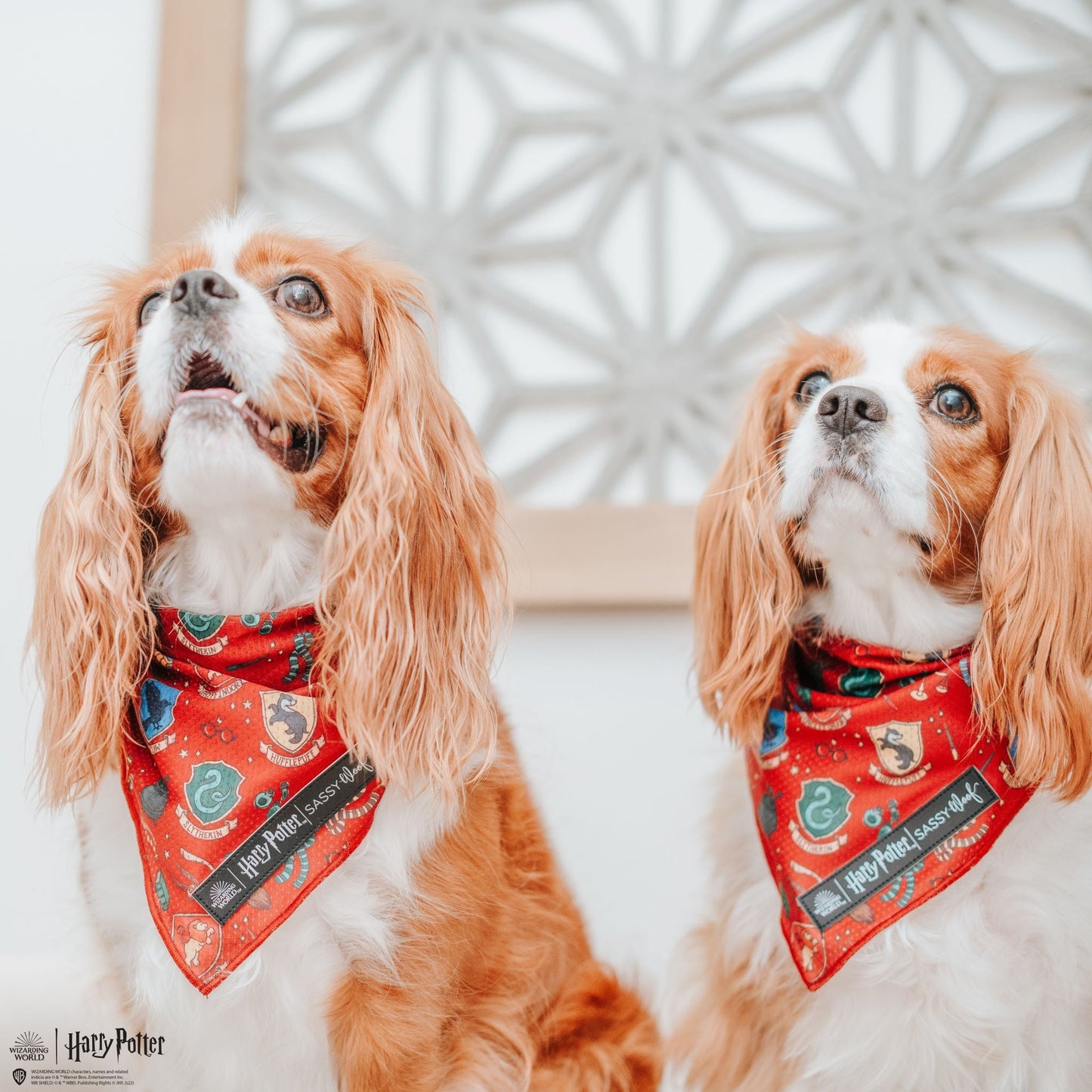 Dog Bandana - Harry Potter™