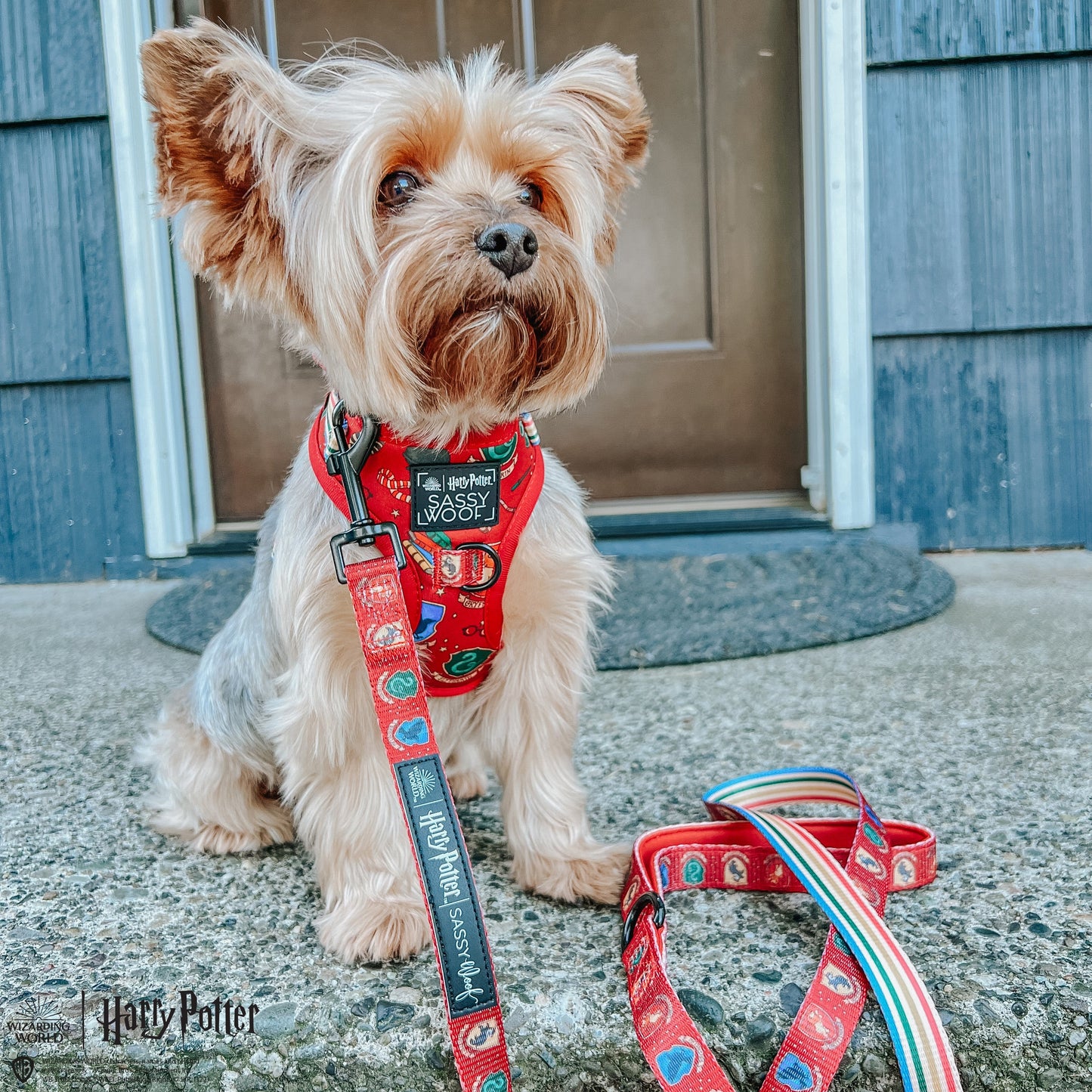 Harness Three Piece Bundle -  Harry Potter™