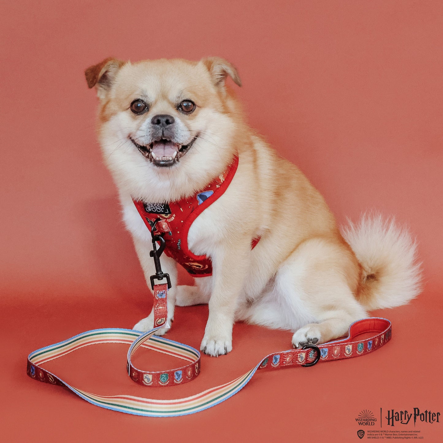 Harness Three Piece Bundle -  Harry Potter™