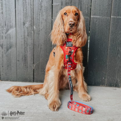Harness Three Piece Bundle -  Harry Potter™