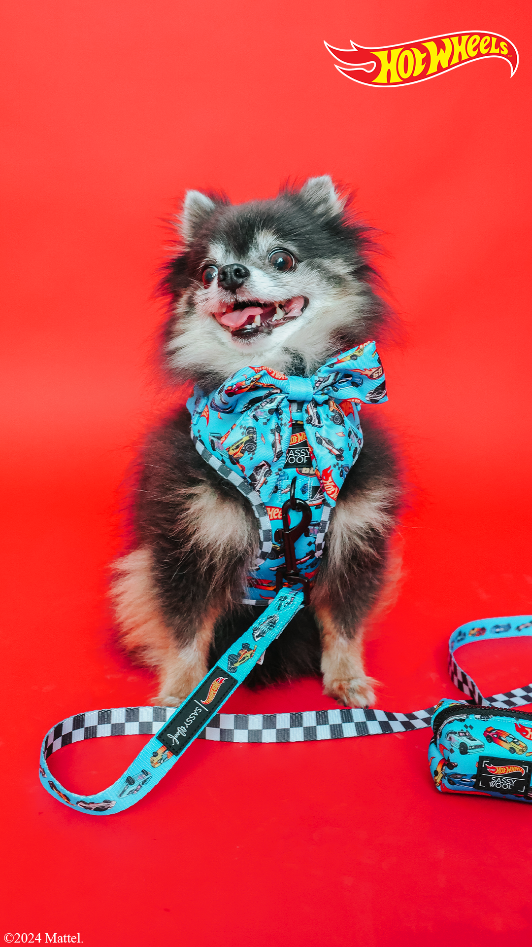 Dog Two Piece Bundle - Hot Wheels™