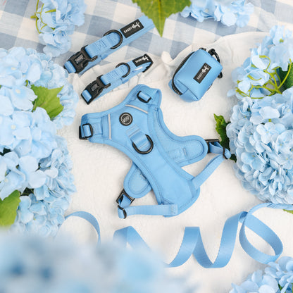 Dog Four Piece Bundle - Hydrangea