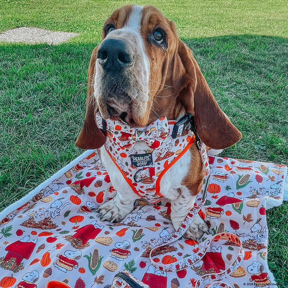 Pet Blanket - Peanuts™ Harvest