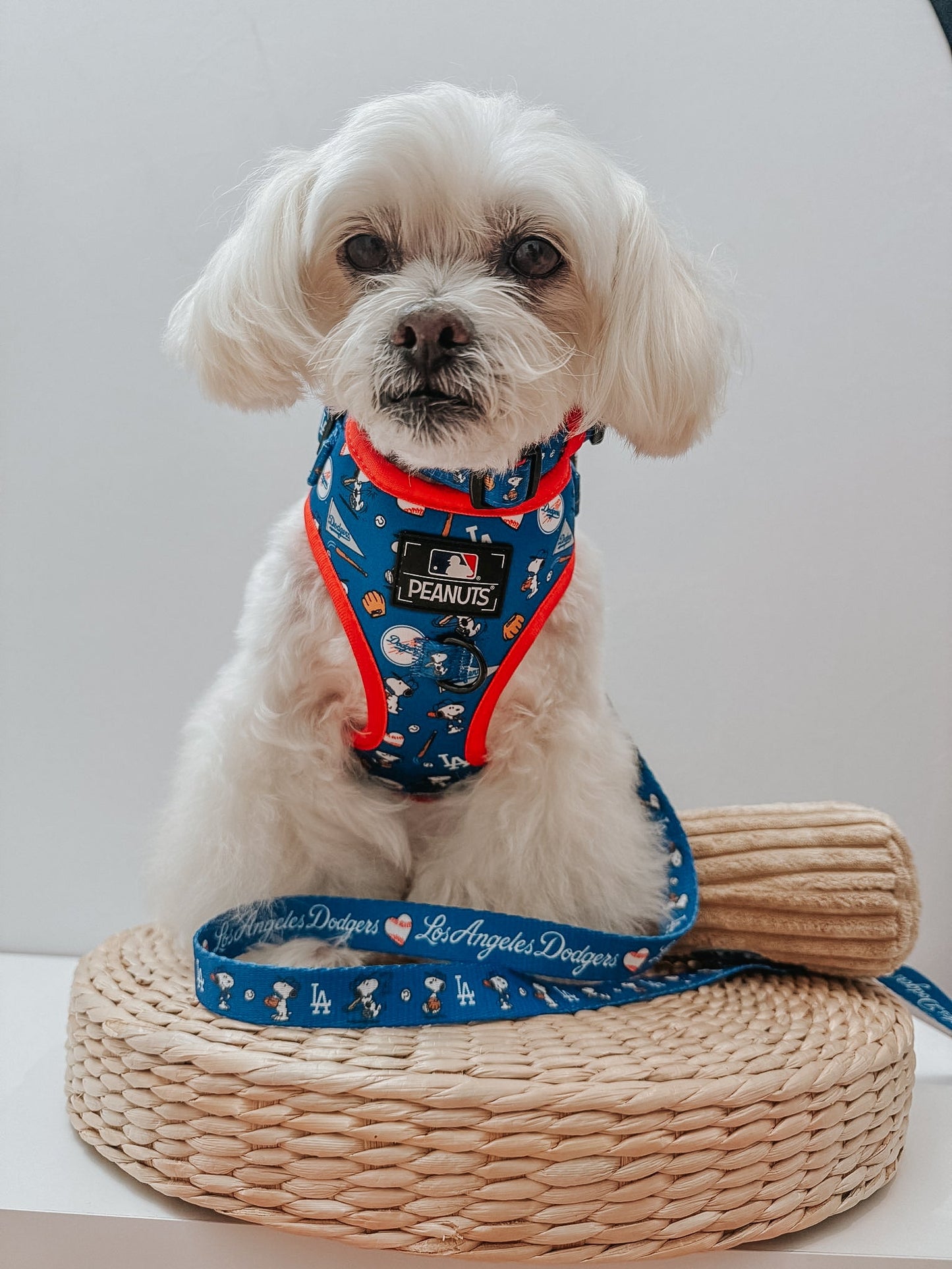 Harness Three Piece Bundle - MLB™ x Peanuts™ Los Angeles Dodgers™