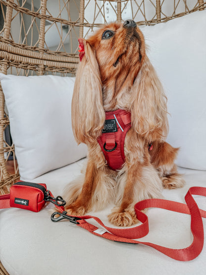 Dog Step-in Harness - Burgundy