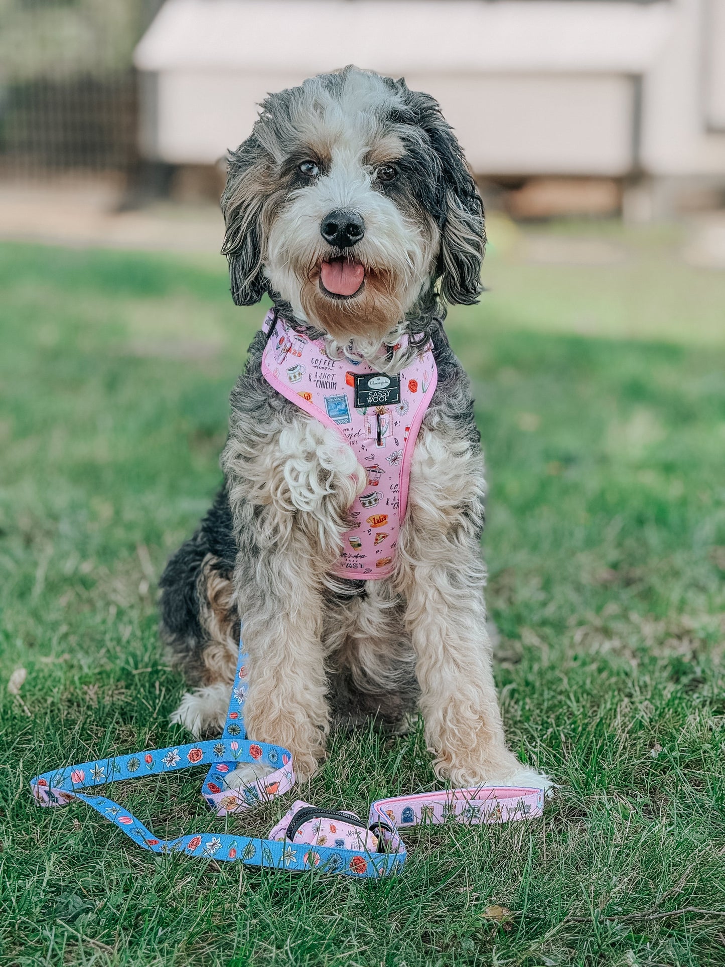 Dog Four Piece Bundle - Gilmore Girls™