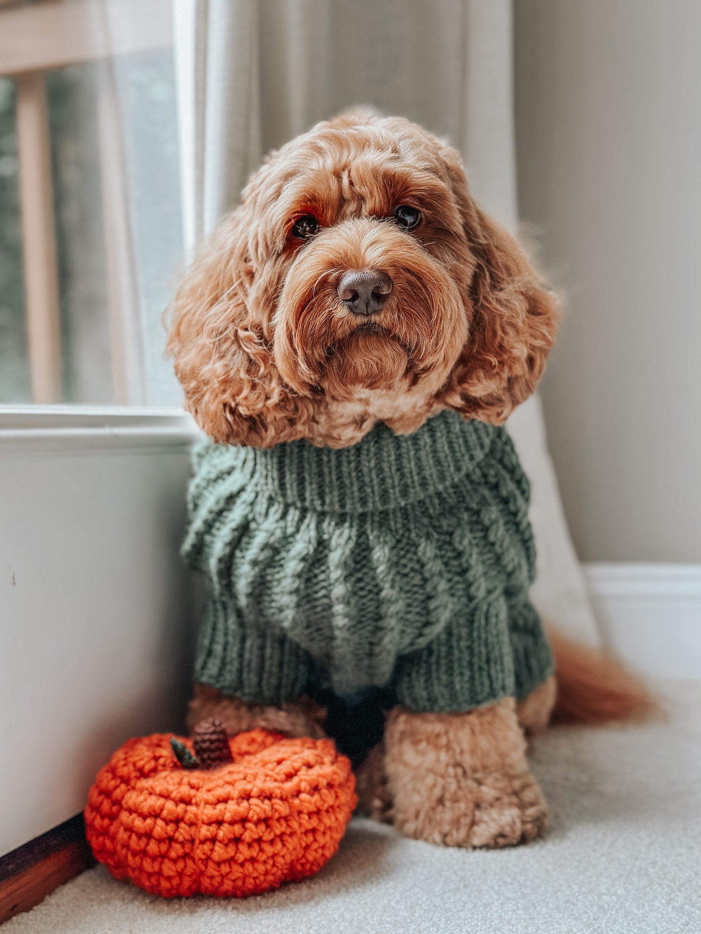 Pet Cable Knit Sweater - Dark Green