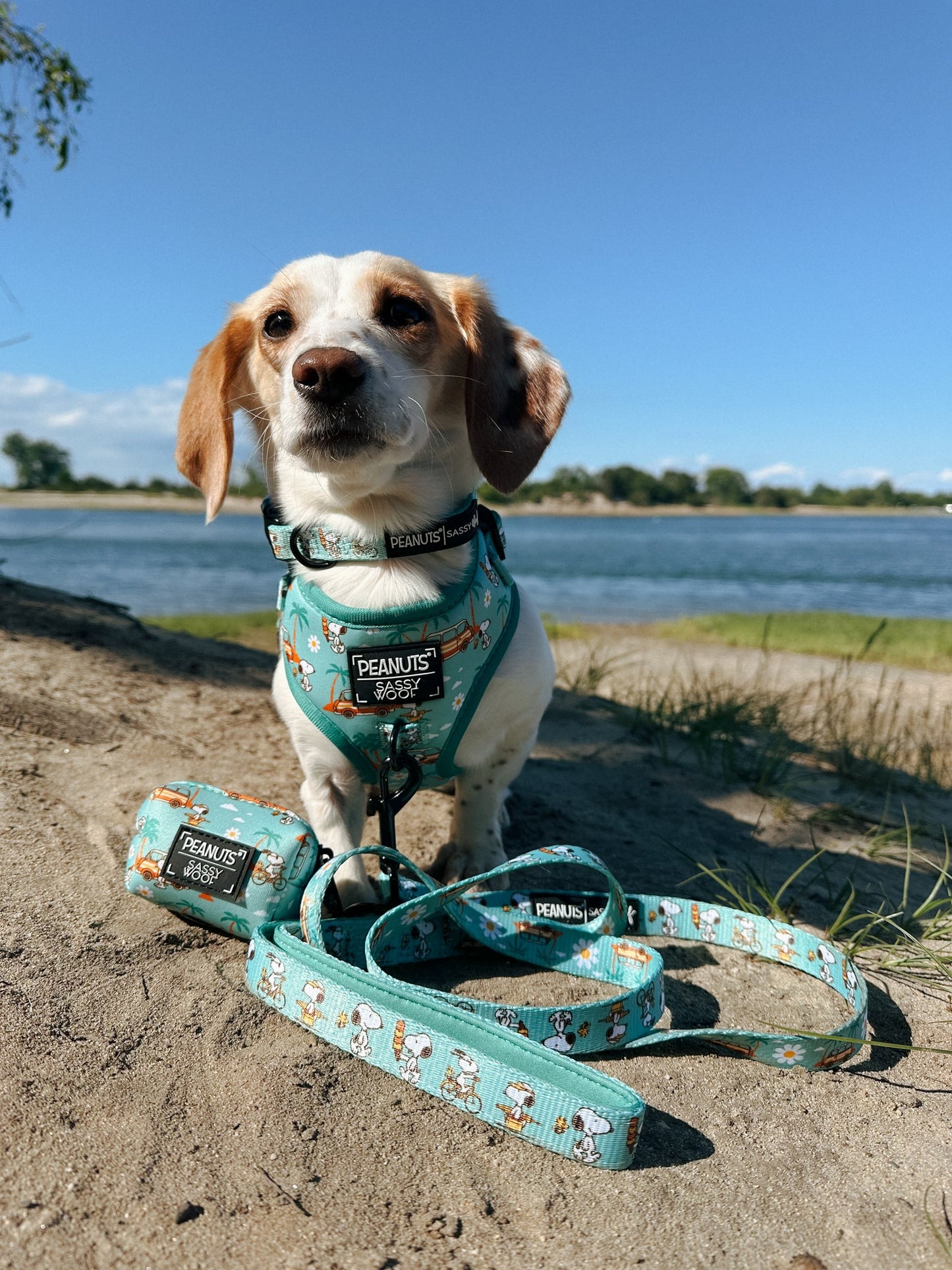 Dog Waste Bag Holder - Peanuts™ Road Tripping