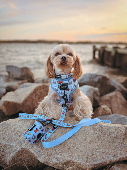 Dog Leash - Coastal Cuties