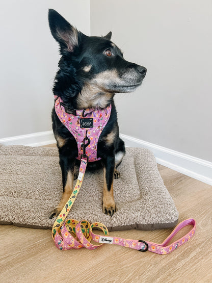 Harness Three Piece Bundle - Disney's Rapunzel
