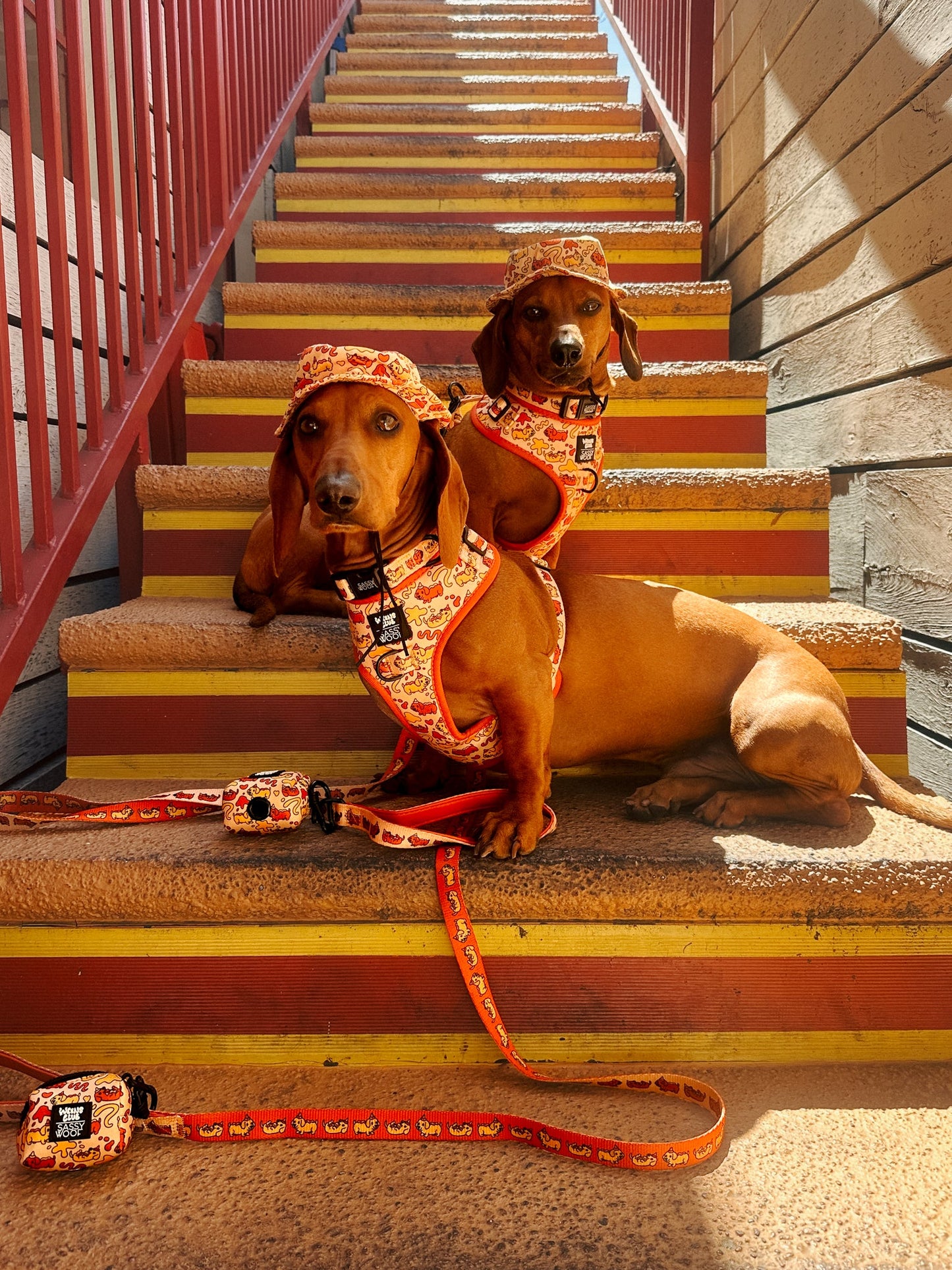 Dog Bucket Hat - Hot Dawg