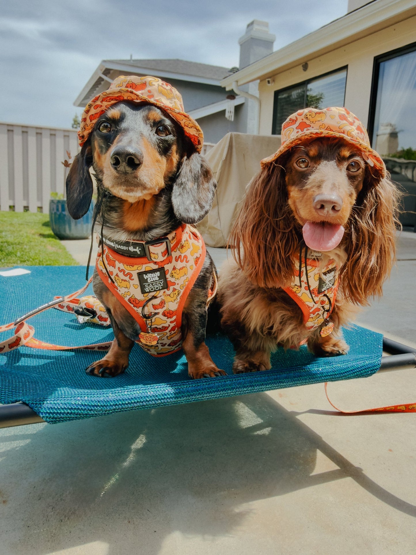 Dog Bucket Hat - Hot Dawg