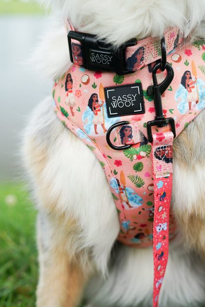 Dog Two Piece Bundle - Disney's Moana