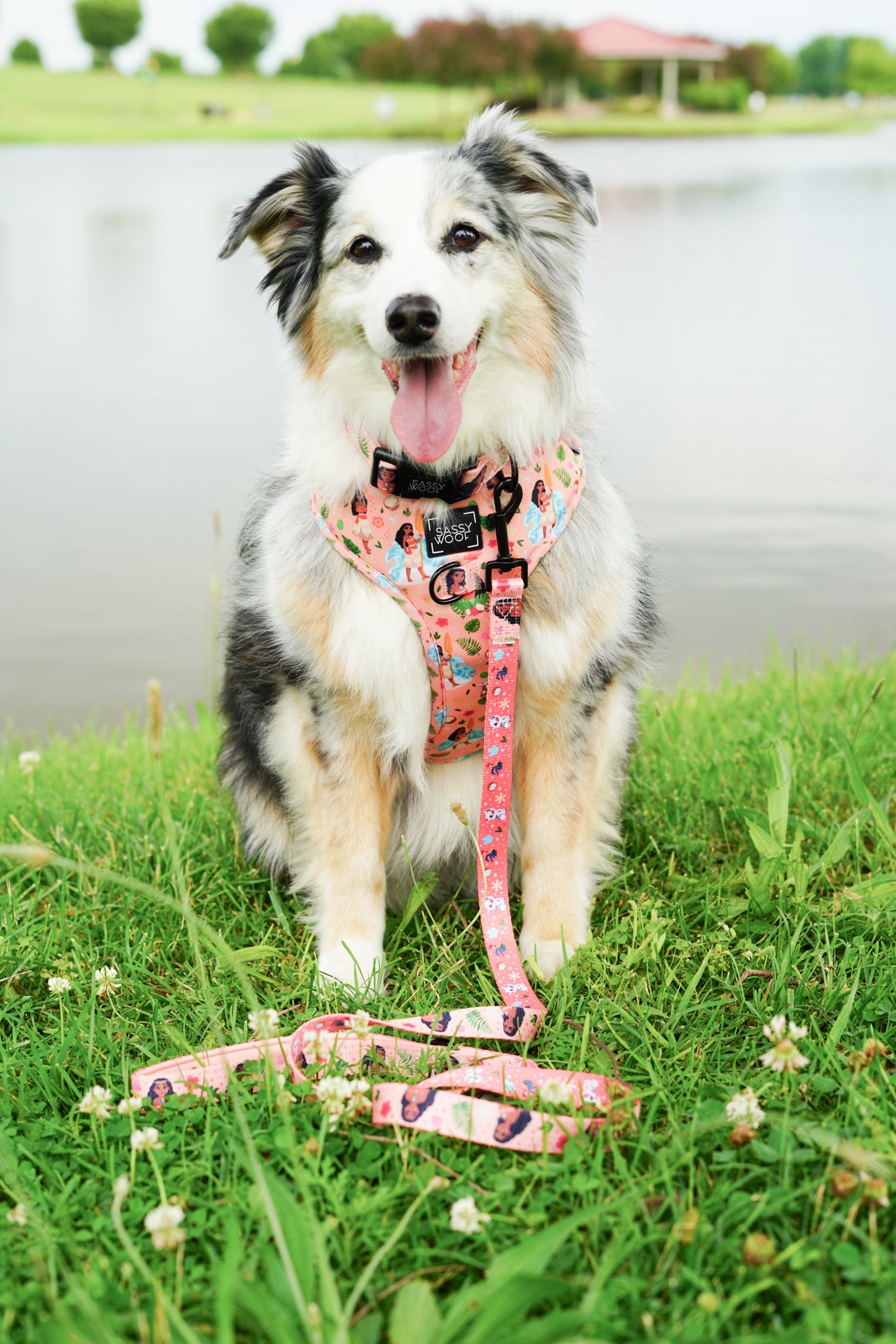 Dog Two Piece Bundle - Disney's Moana