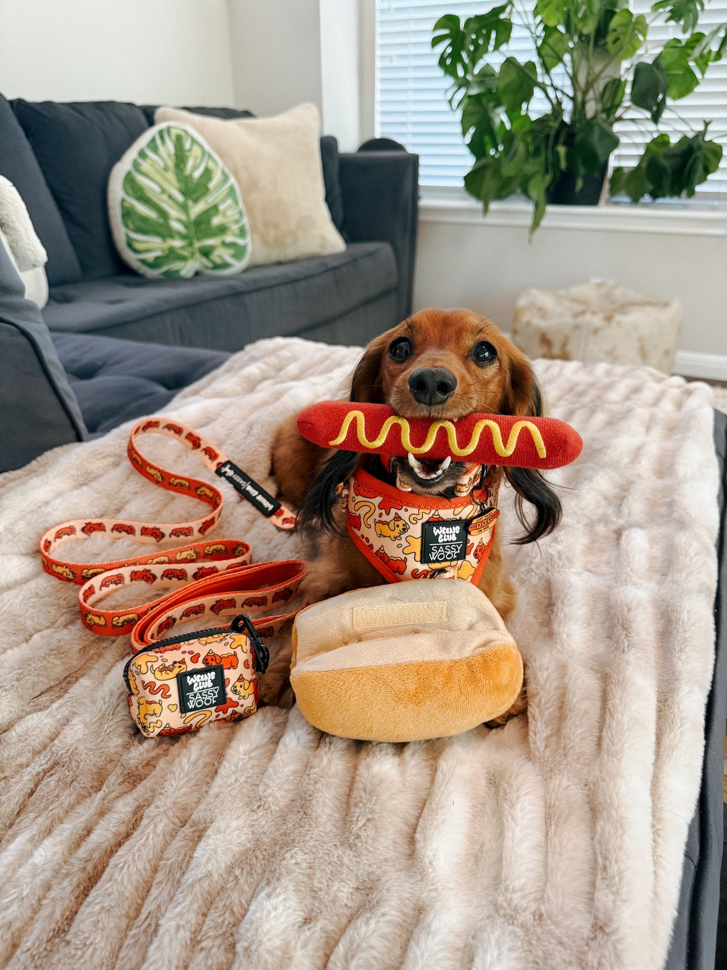 Dog Waste Bag Holder - Hot Dawg