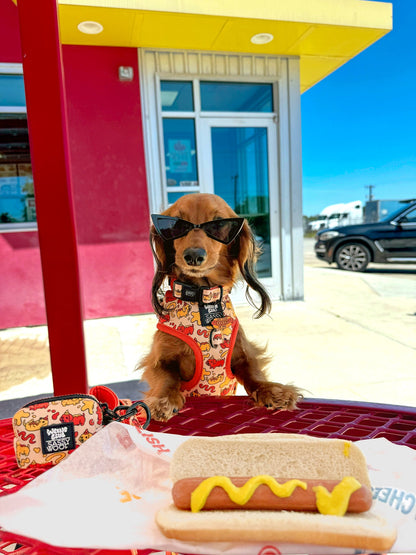 Dog Four Piece Bundle - Hot Dawg
