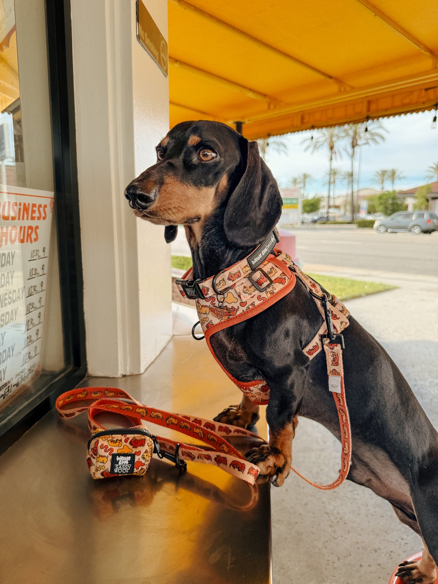Dog Four Piece Bundle - Hot Dawg