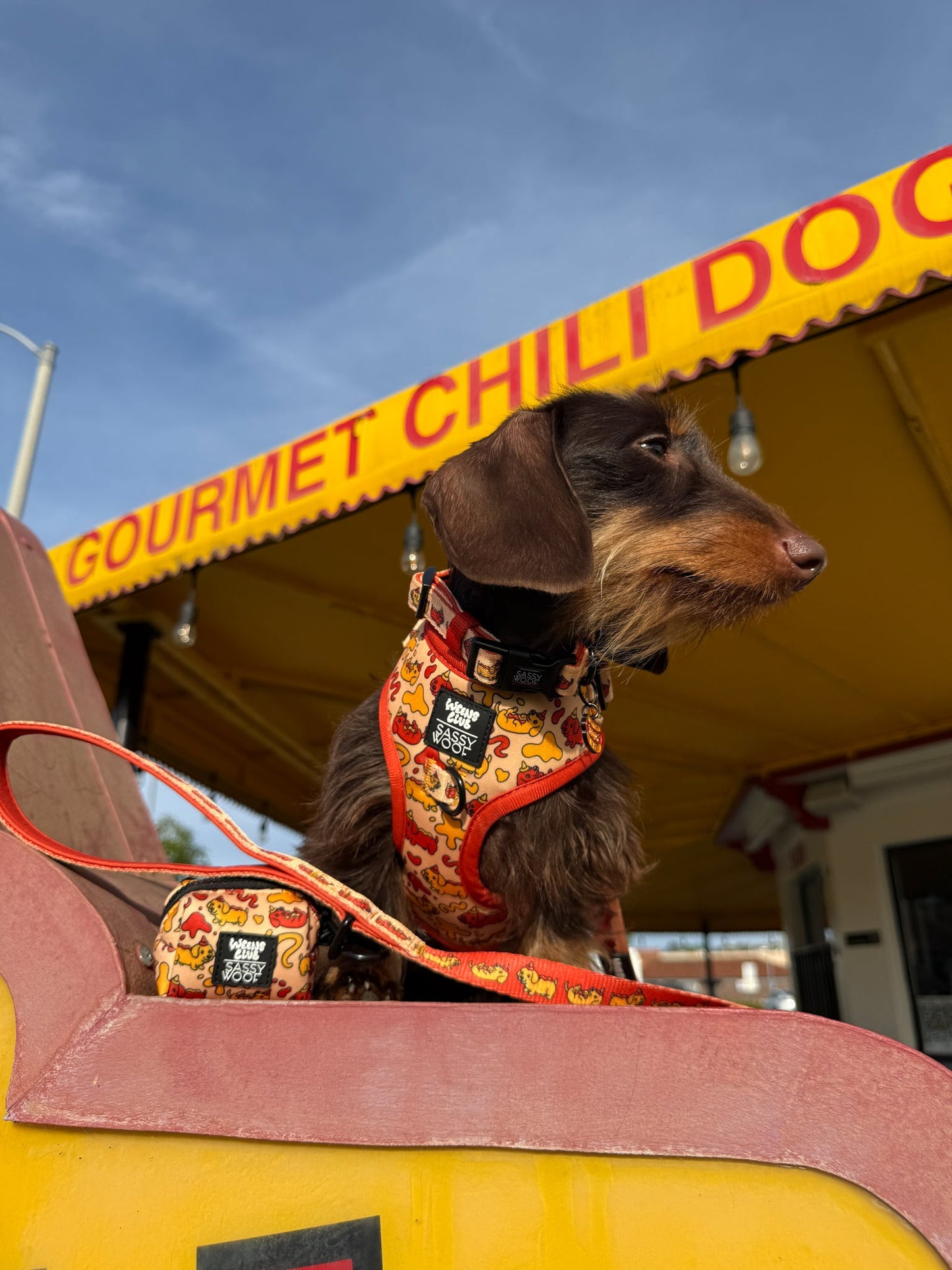 Dog Four Piece Bundle - Hot Dawg