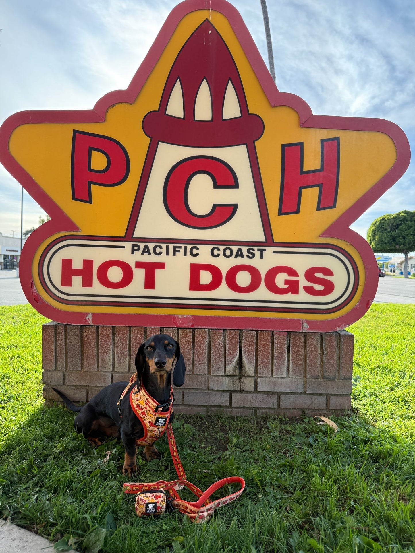 Dog Four Piece Bundle - Hot Dawg