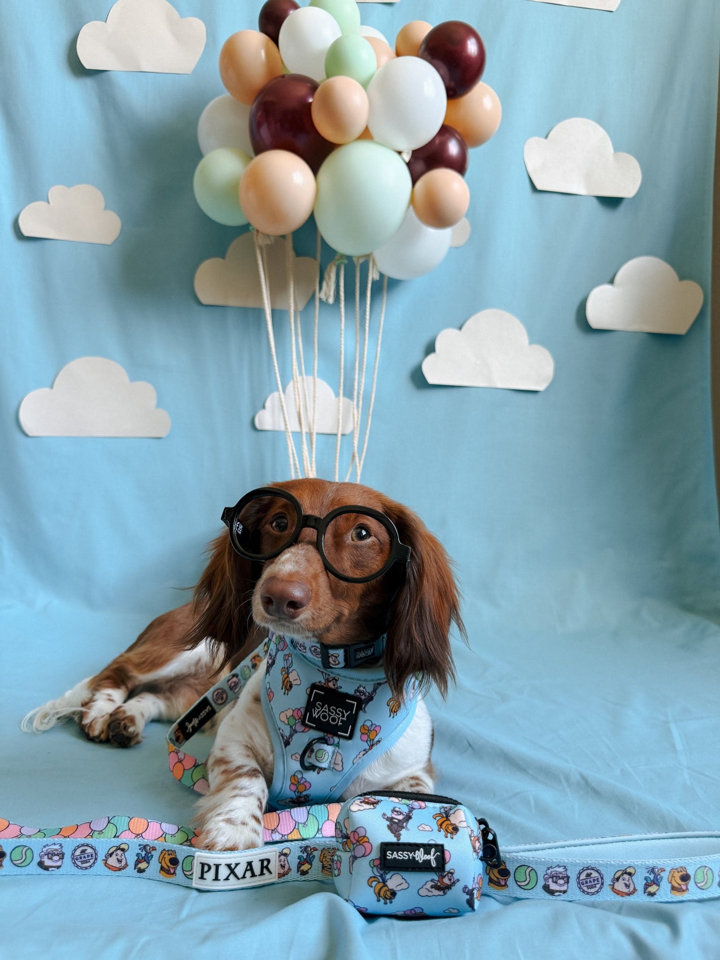 Dog Waste Bag Holder - Disney and Pixar's Up