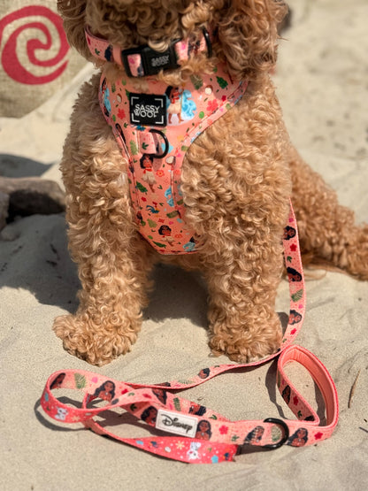 Dog Two Piece Bundle - Disney's Moana