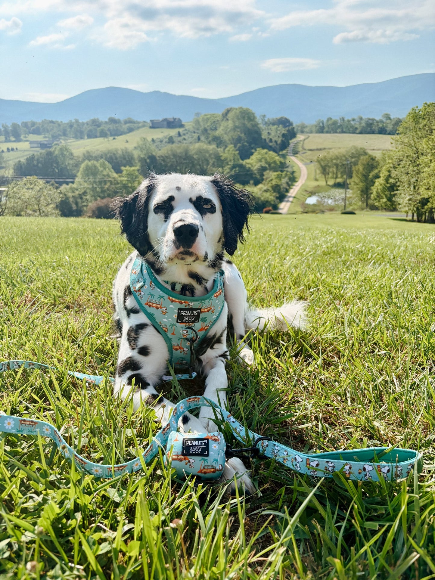 Dog Waste Bag Holder - Peanuts™ Road Tripping