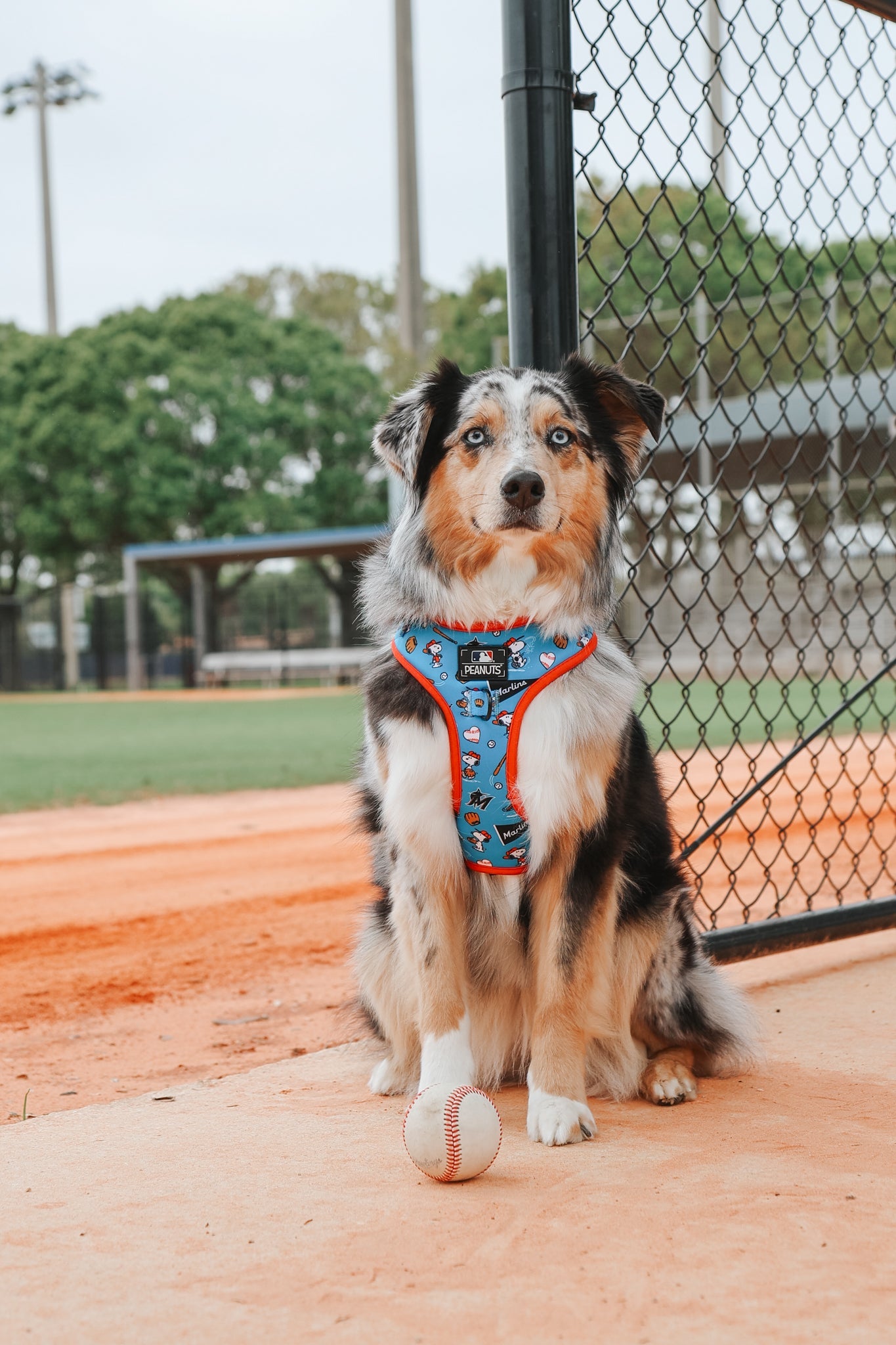Dog Two Piece Bundle - MLB™ x Peanuts™ Miami Marlins™