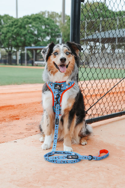 Dog Two Piece Bundle - MLB™ x Peanuts™ Miami Marlins™
