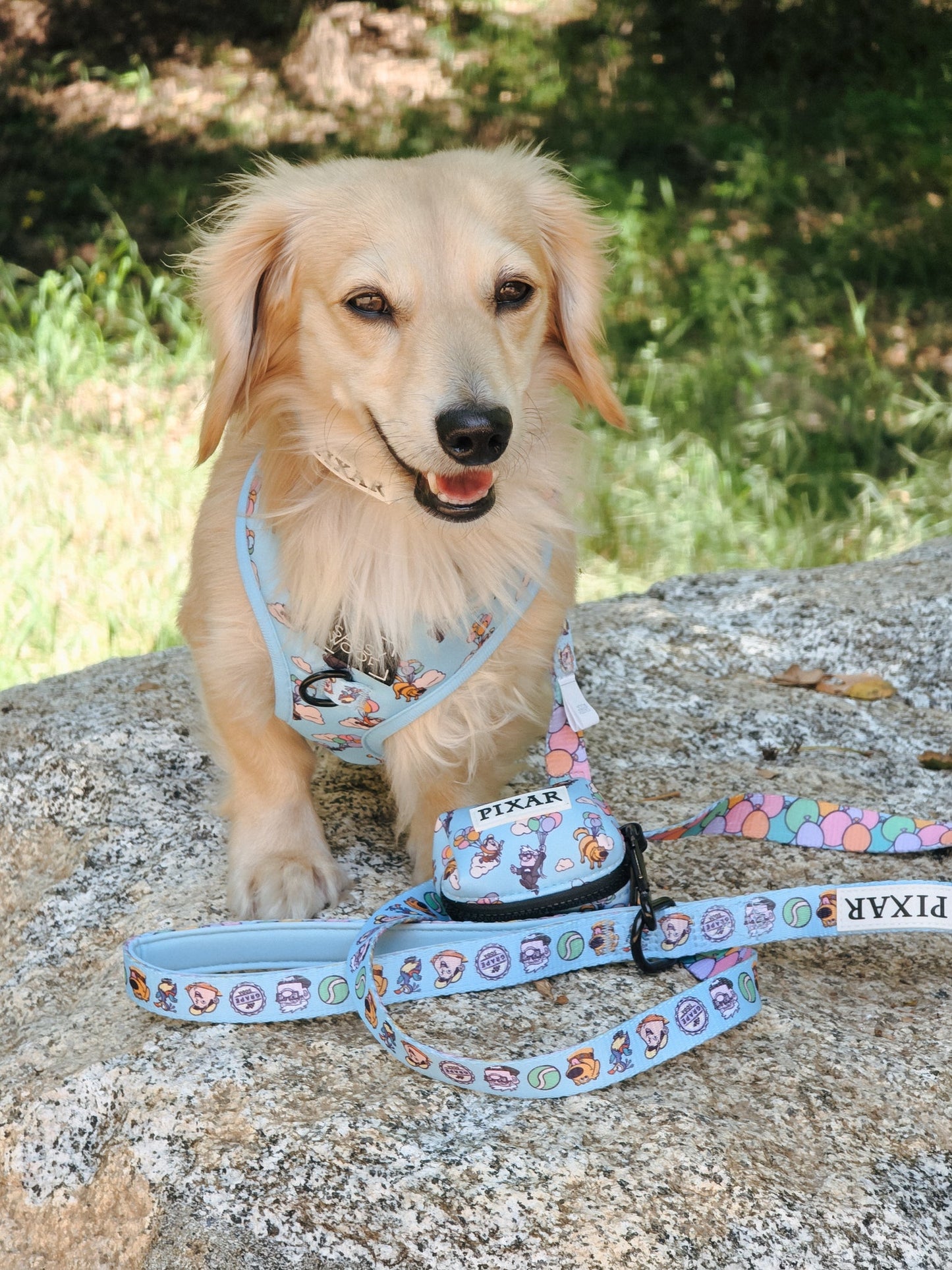 Dog Waste Bag Holder - Disney and Pixar's Up