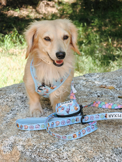 Dog Waste Bag Holder - Disney and Pixar's Up