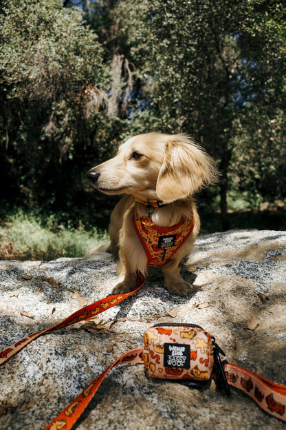 Dog Four Piece Bundle - Hot Dawg