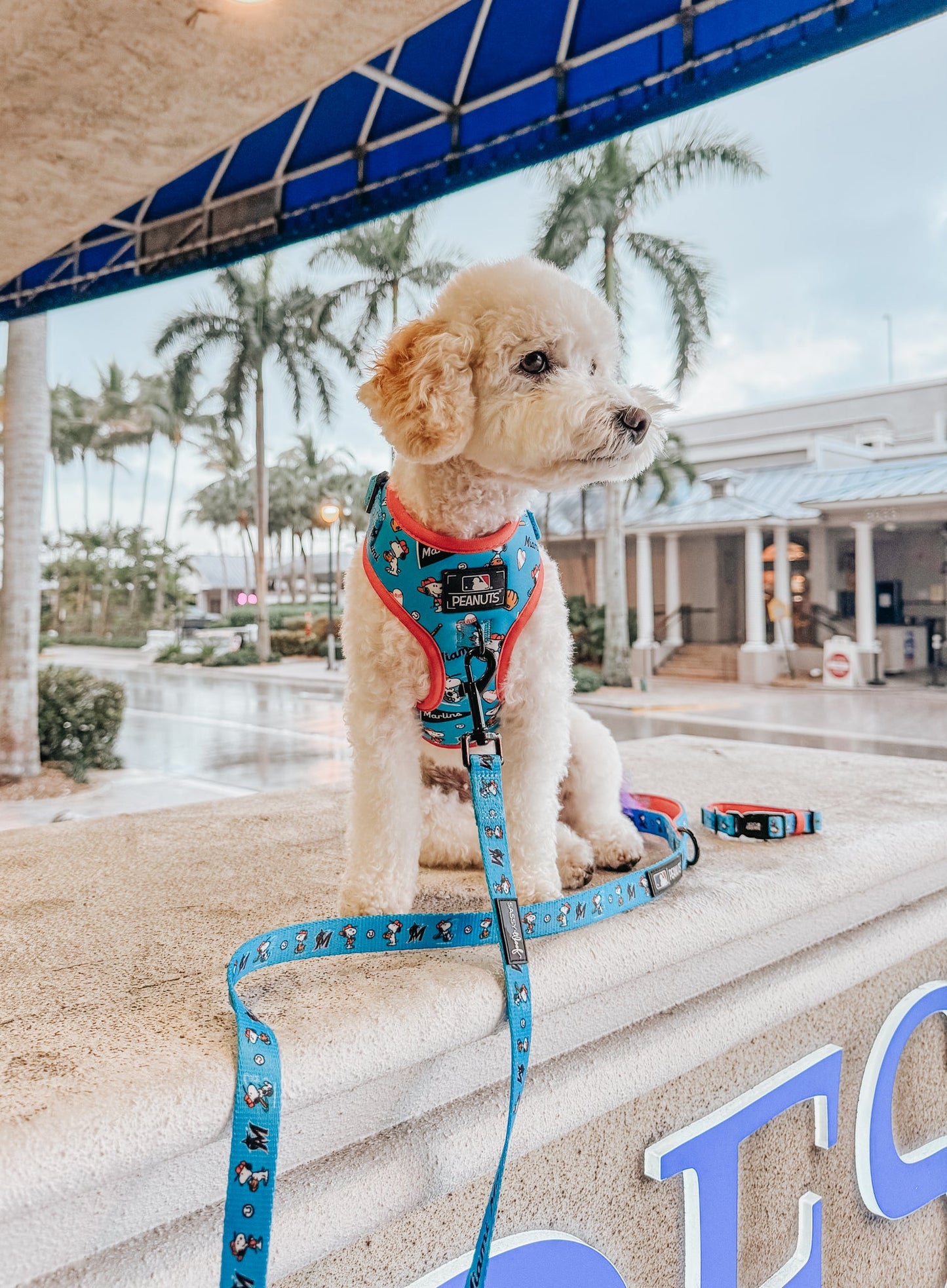 Harness Three Piece Bundle - MLB™ x Peanuts™ Miami Marlins™
