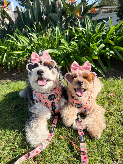 Dog Two Piece Bundle - Disney's Moana