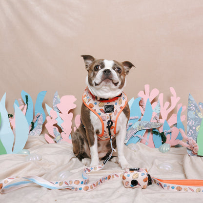 Dog Two Piece Bundle - Shell Yeah