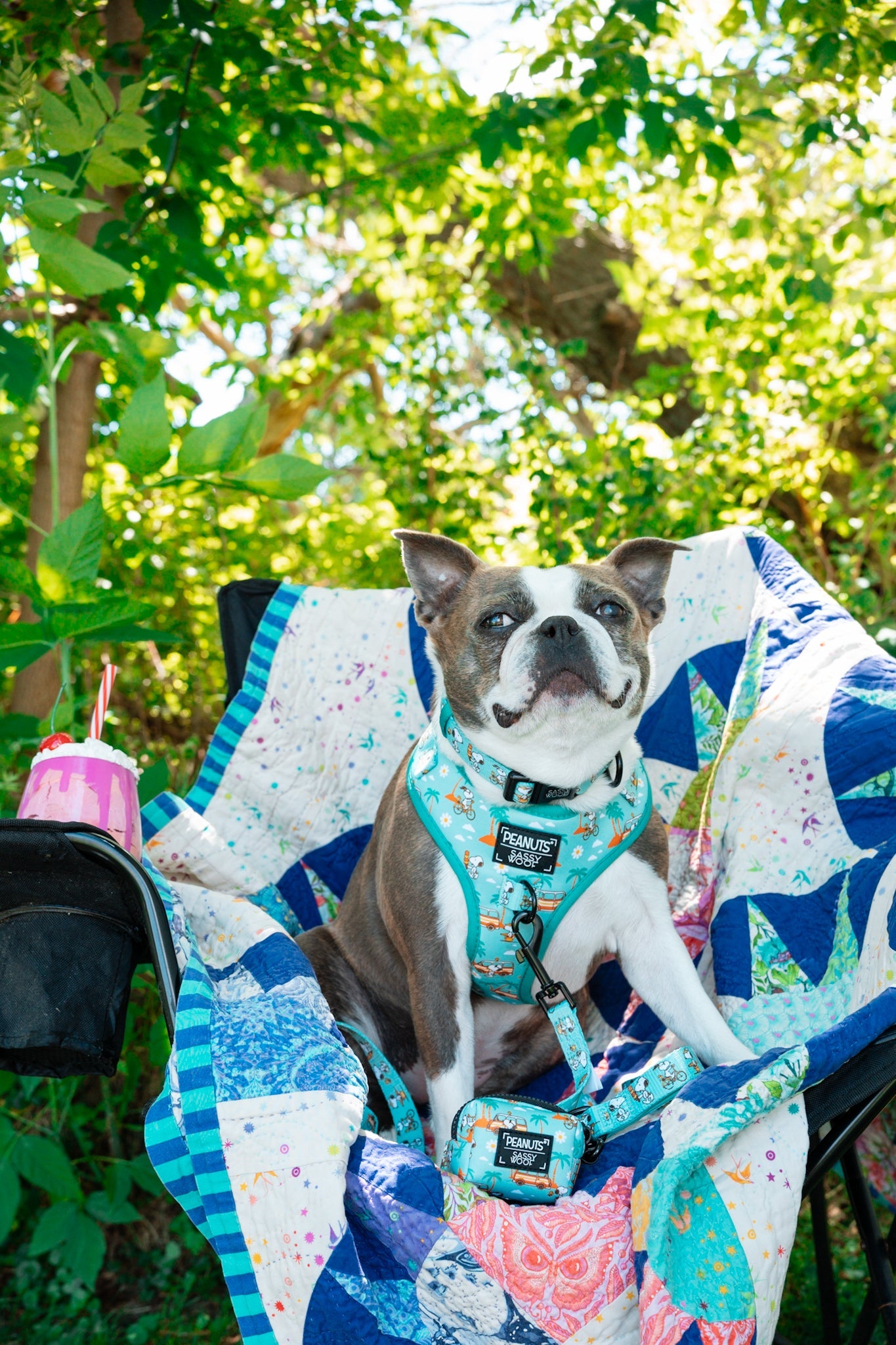 Dog Four Piece Bundle - Peanuts™ Road Tripping