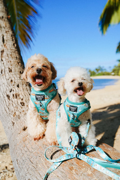 Dog Four Piece Bundle - Peanuts™ Road Tripping