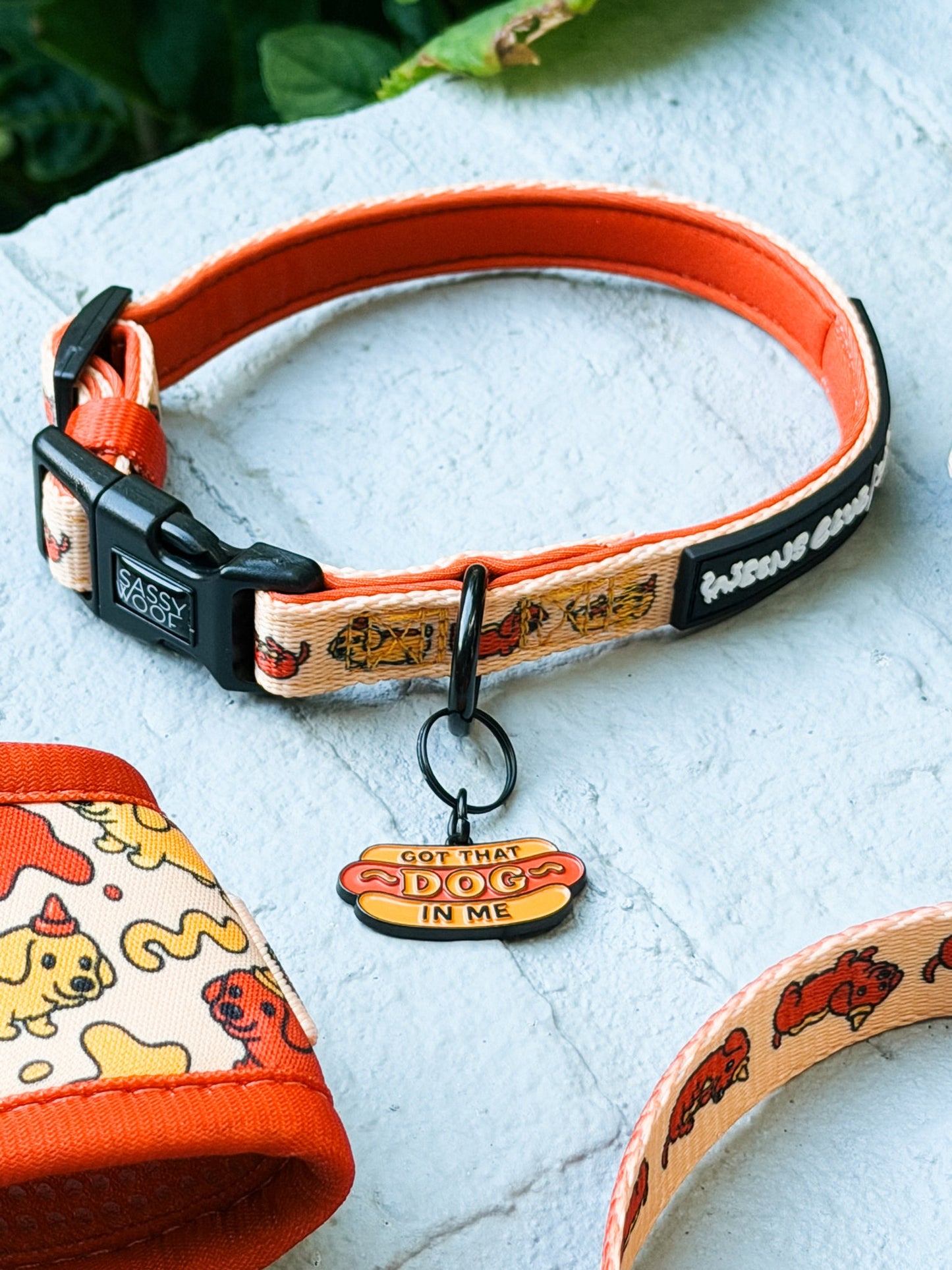Collar Tag - Hot Dawg