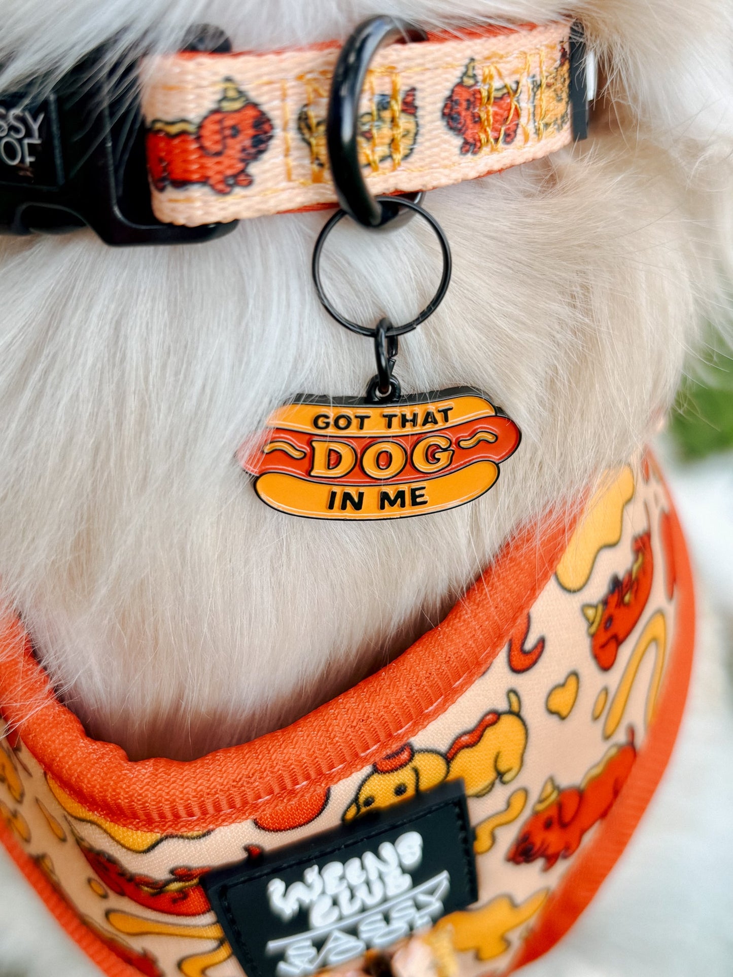 Collar Tag - Hot Dawg