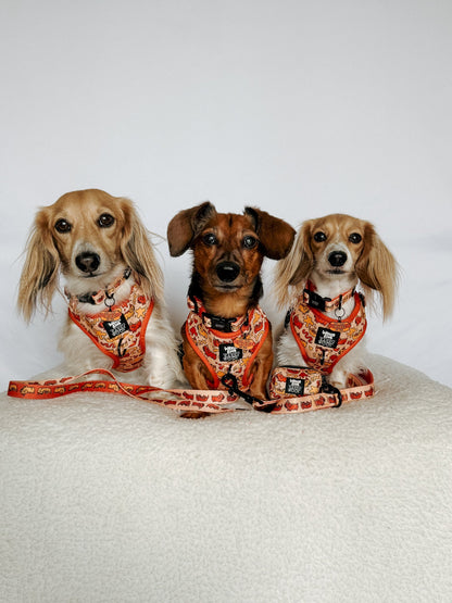 Dog Four Piece Bundle - Hot Dawg