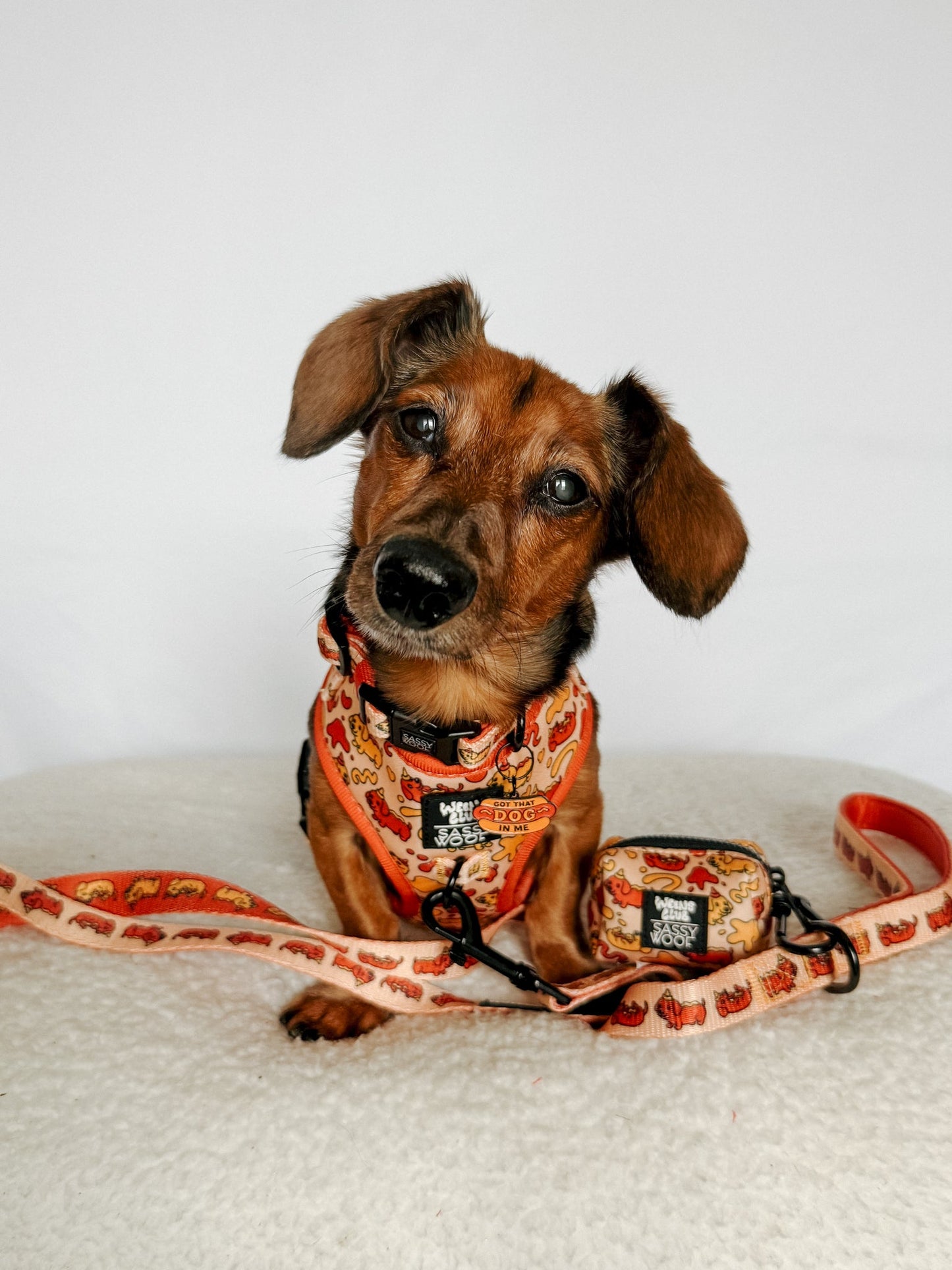 Dog Waste Bag Holder - Hot Dawg