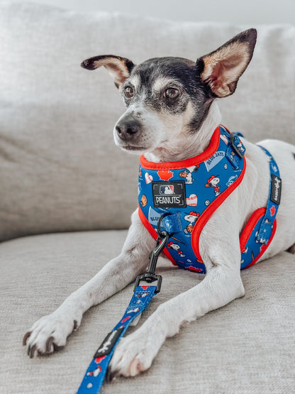 Dog Two Piece Bundle - MLB™ x Peanuts™ Toronto Blue Jays™