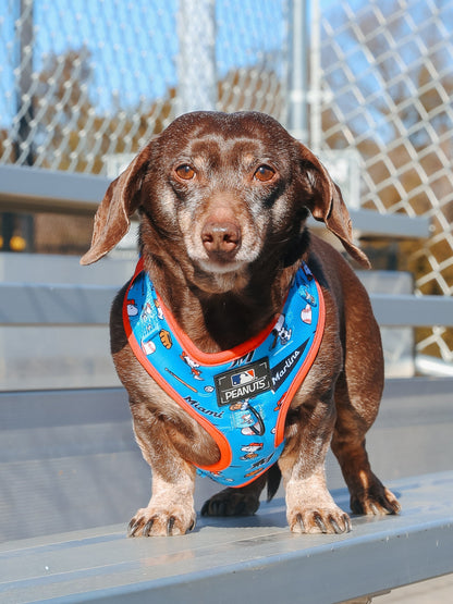 Dog Two Piece Bundle - MLB™ x Peanuts™ Miami Marlins™