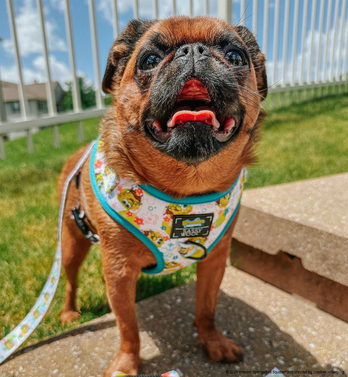 Dog Two Piece Bundle -  SpongeBob SquarePants™ Bikini Bottom