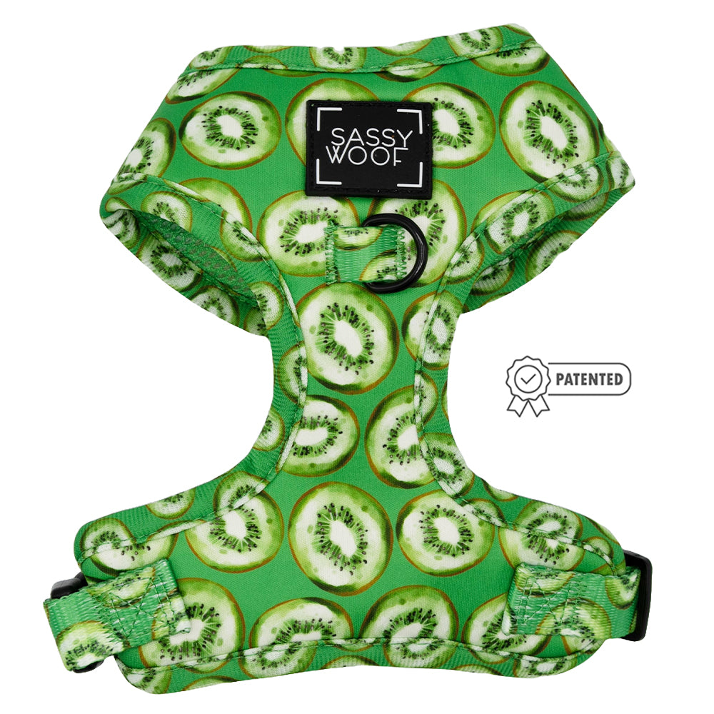 Dog Two Piece Bundle -  Kiwi Krazy